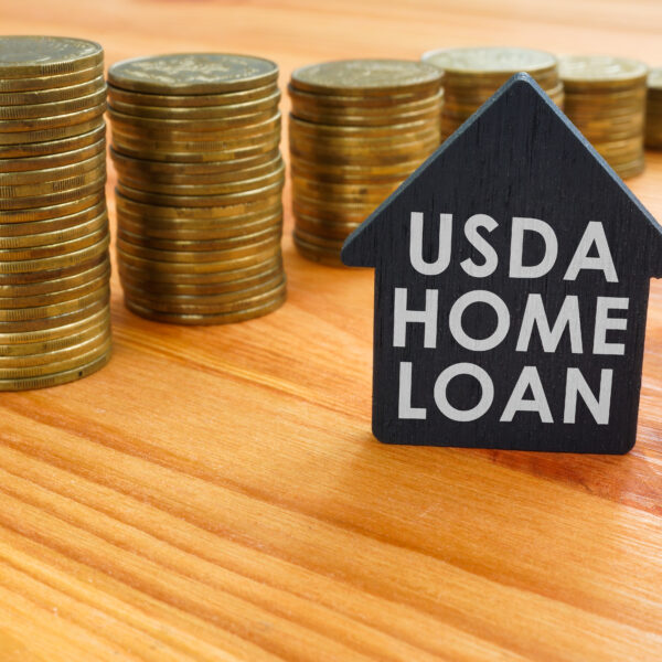 usda home loan